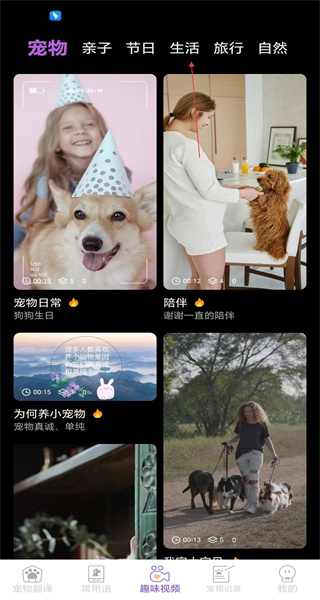 猫狗翻译器app手机版