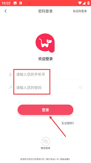 千尾宠物