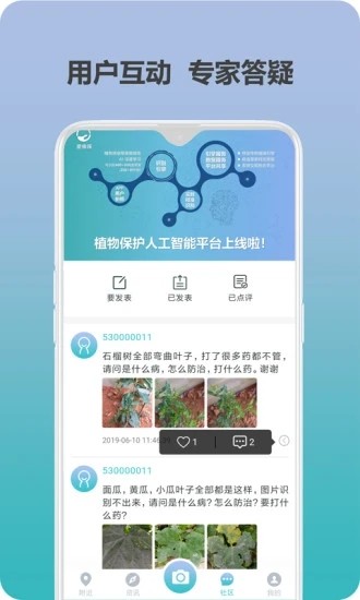 爱植保