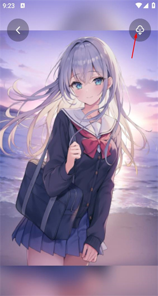口袋壁纸安卓版