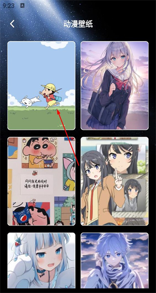 口袋壁纸安卓版