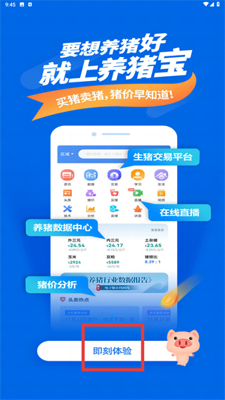 养猪宝