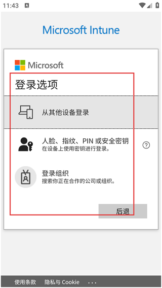 Company Portal