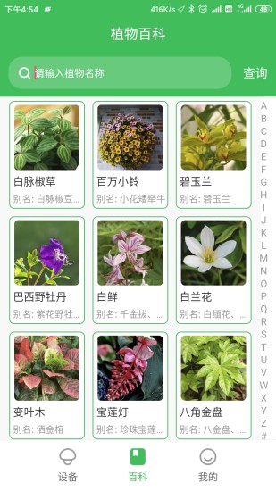 森林甜心最新版本