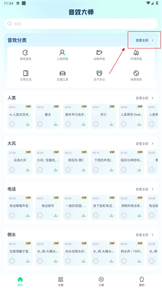 音效大师