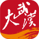 大武汉下载安装