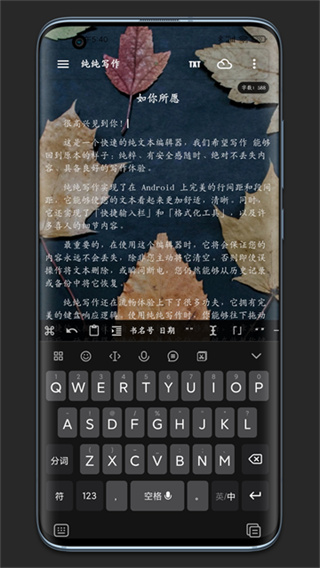 纯纯写作软件