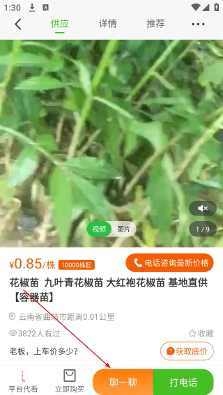 湖南苗木