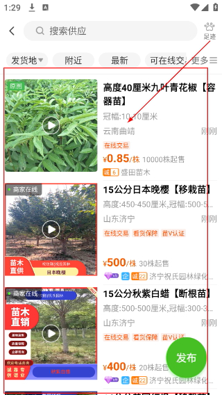 湖南苗木