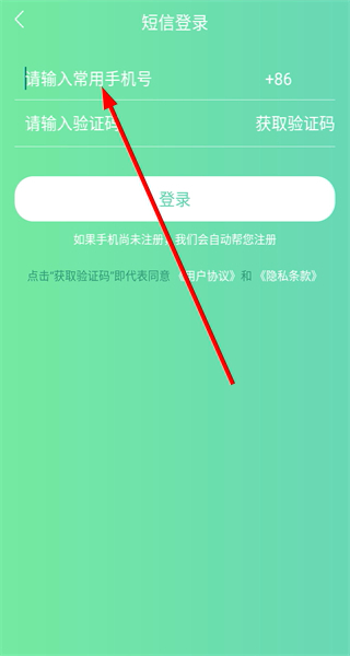 提树