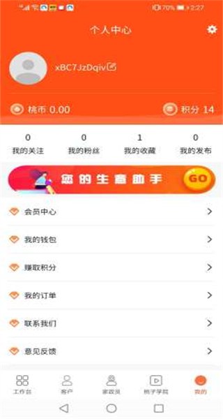 桃子系统