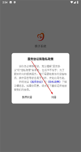 桃子系统