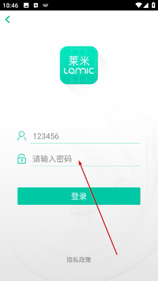 莱米