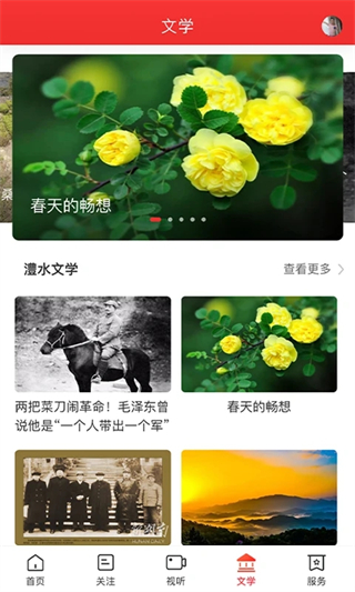 新桑植