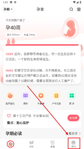 新妈新宝
