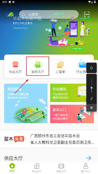 华苗木云