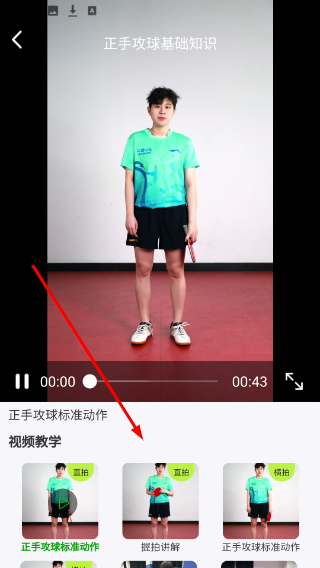 乒小智