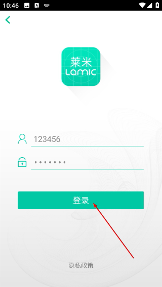 莱米