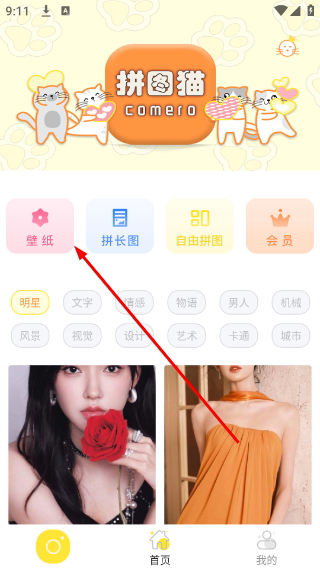 拼图猫