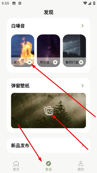 竹林鸟