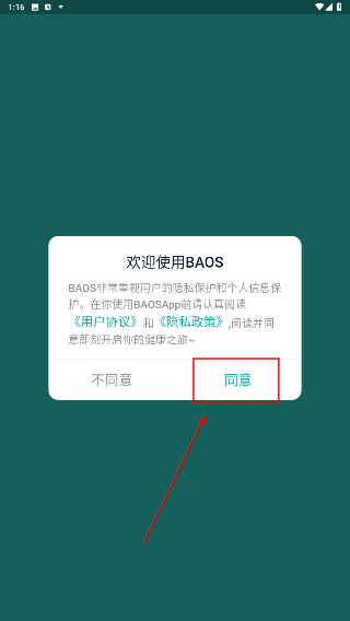 花豹穿戴