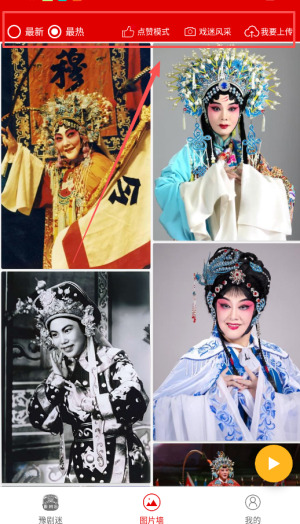 豫剧迷