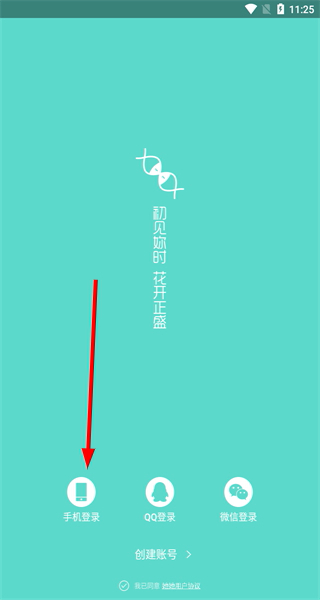 她他