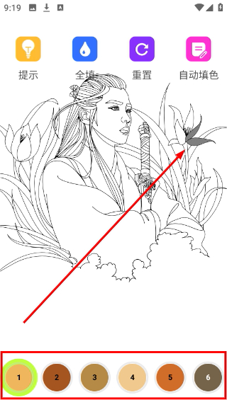 豆画