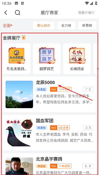 中国信鸽信息网