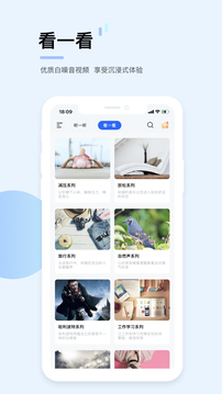 白噪音最新版