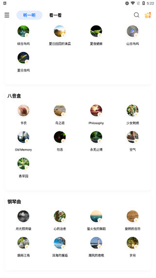 白噪音