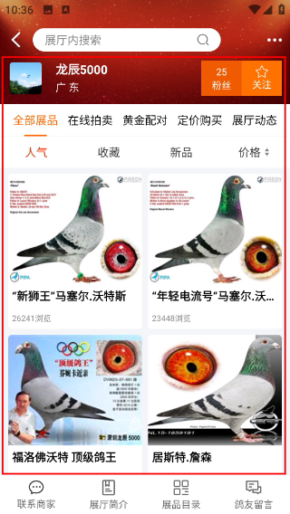 中国信鸽信息网