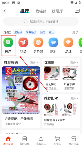 中国信鸽信息网