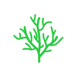 年轮3计划