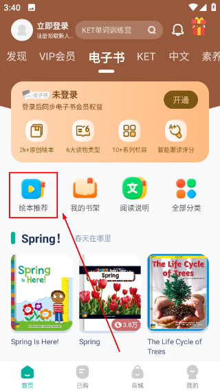 常青藤爸爸