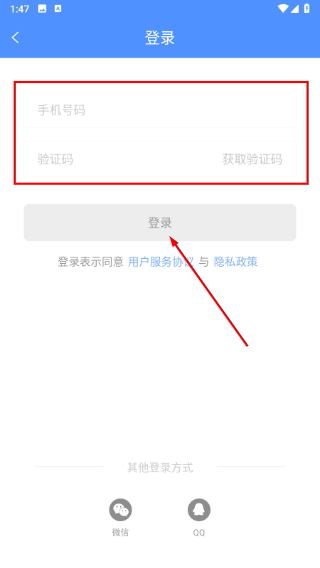 坏坏猫小说