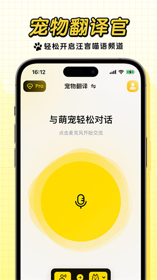 宠玩