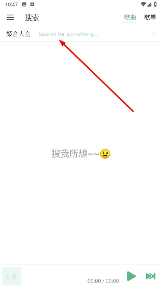 洛雪音乐助手
