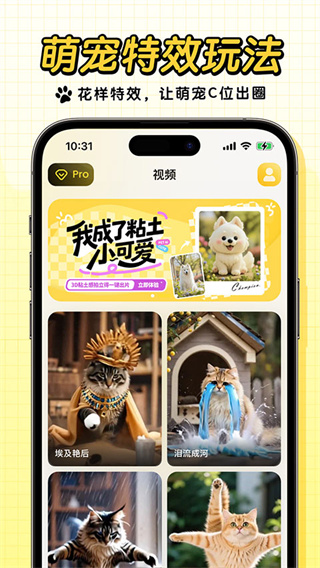 宠玩
