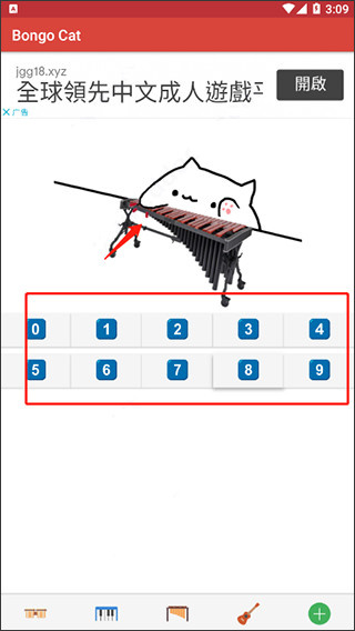 bongo cat