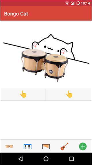 bongo cat