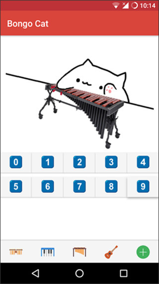 bongo cat