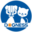 多尼斯