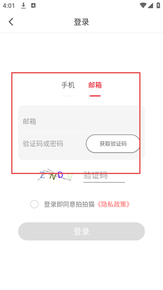 拍拍猫