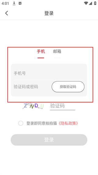 拍拍猫