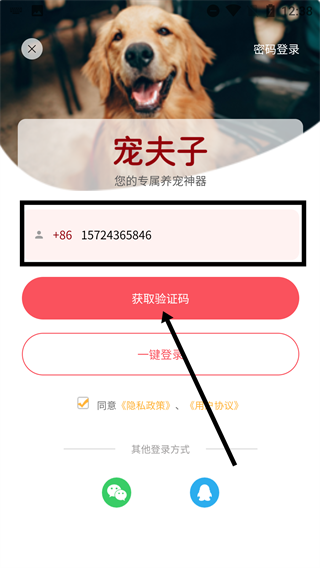 宠夫子商家版