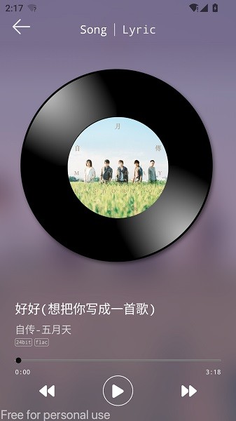 DS Music+