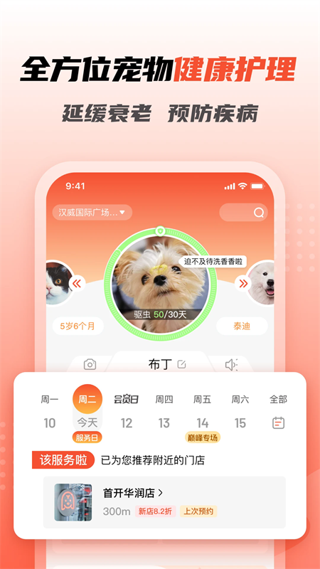 宠物家美容师端