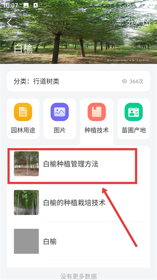 花木人