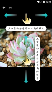 多肉成长记最新版